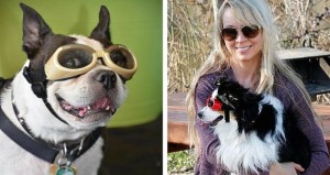 Gafas de Sol para perros